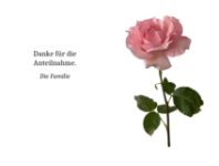 eine Anzeige