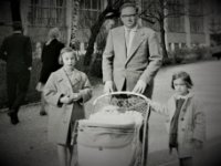 das zu meldende Bild