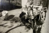 ein Bild aus dem Album