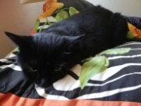 ein Bild aus dem Album