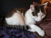 ein Bild aus dem Album