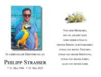 eine Anzeige