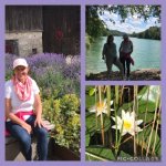 ein Bild aus dem Album